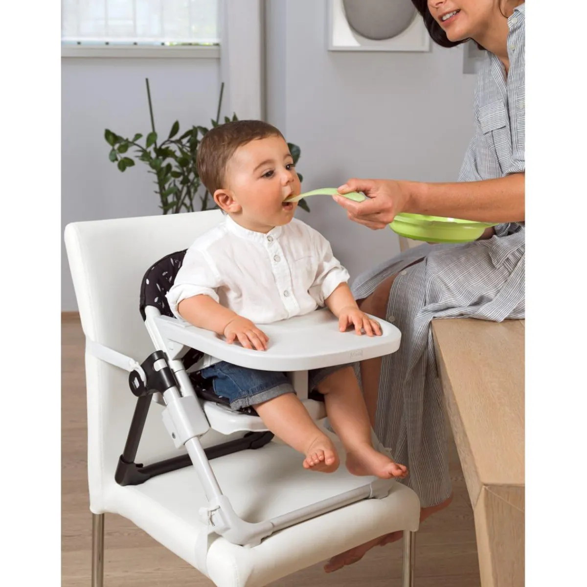 - Elevador Chairy Sweetdog*CHICCO Online