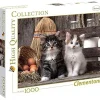 New - Madagascar - Puzzle 1000 piezas paisaje con gatitos ㅤ Juegos Y Puzzles