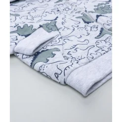 Conjunto jogging de niño gris con estampado Dino*Prenatal Hot