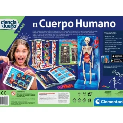 El Cuerpo Humano*CONCENTRA Hot