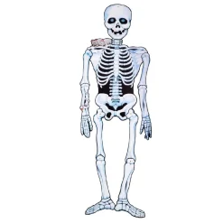 Esqueleto de papel 140 cm*TOYS "R" US
