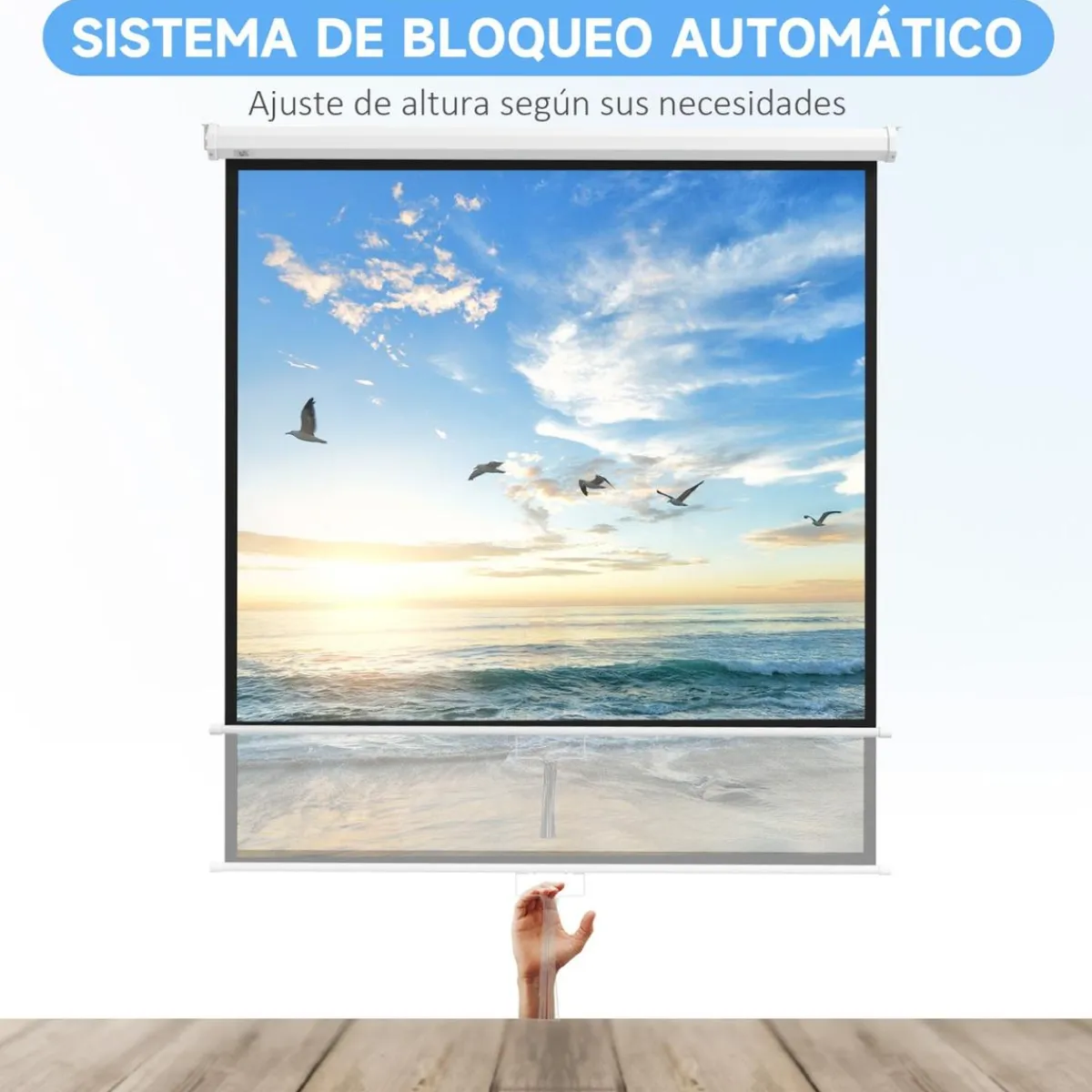 Sale - Pantalla de proyección 99'' Blanco Electrónicos