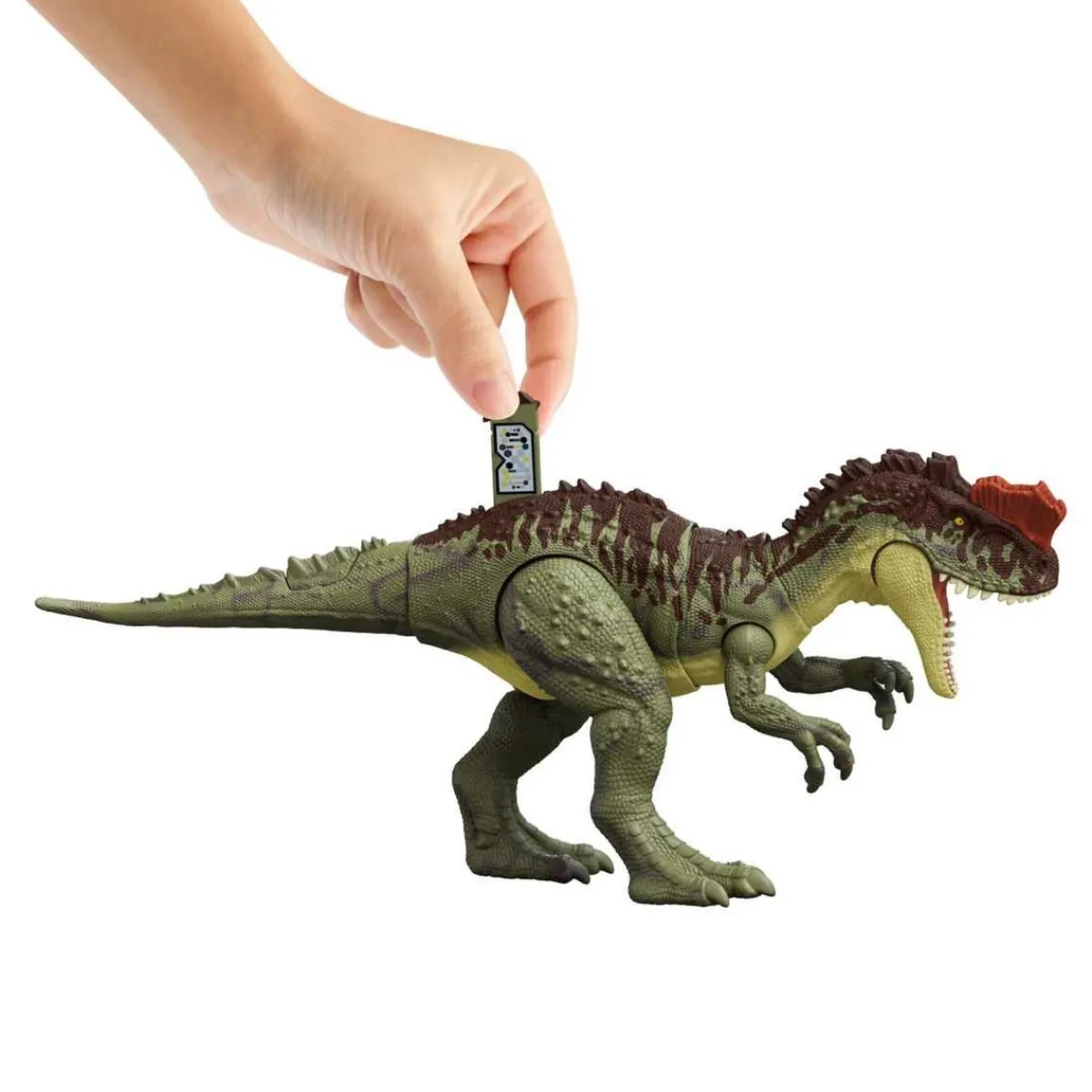Best - Yangchuanosaurus - Dinosaurio Acción Colosal Figuras De Acción