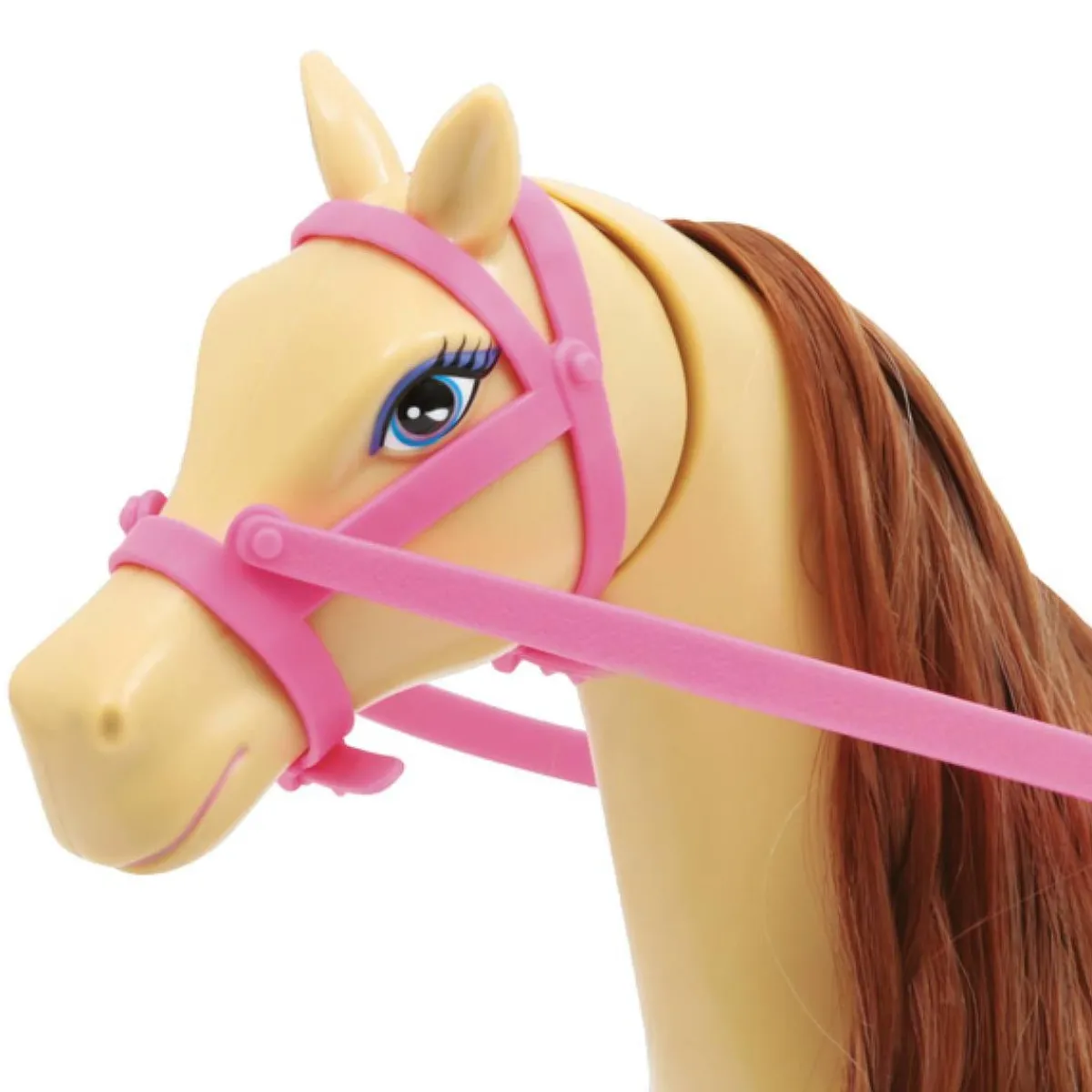 - El caballo de*LOLLY Best