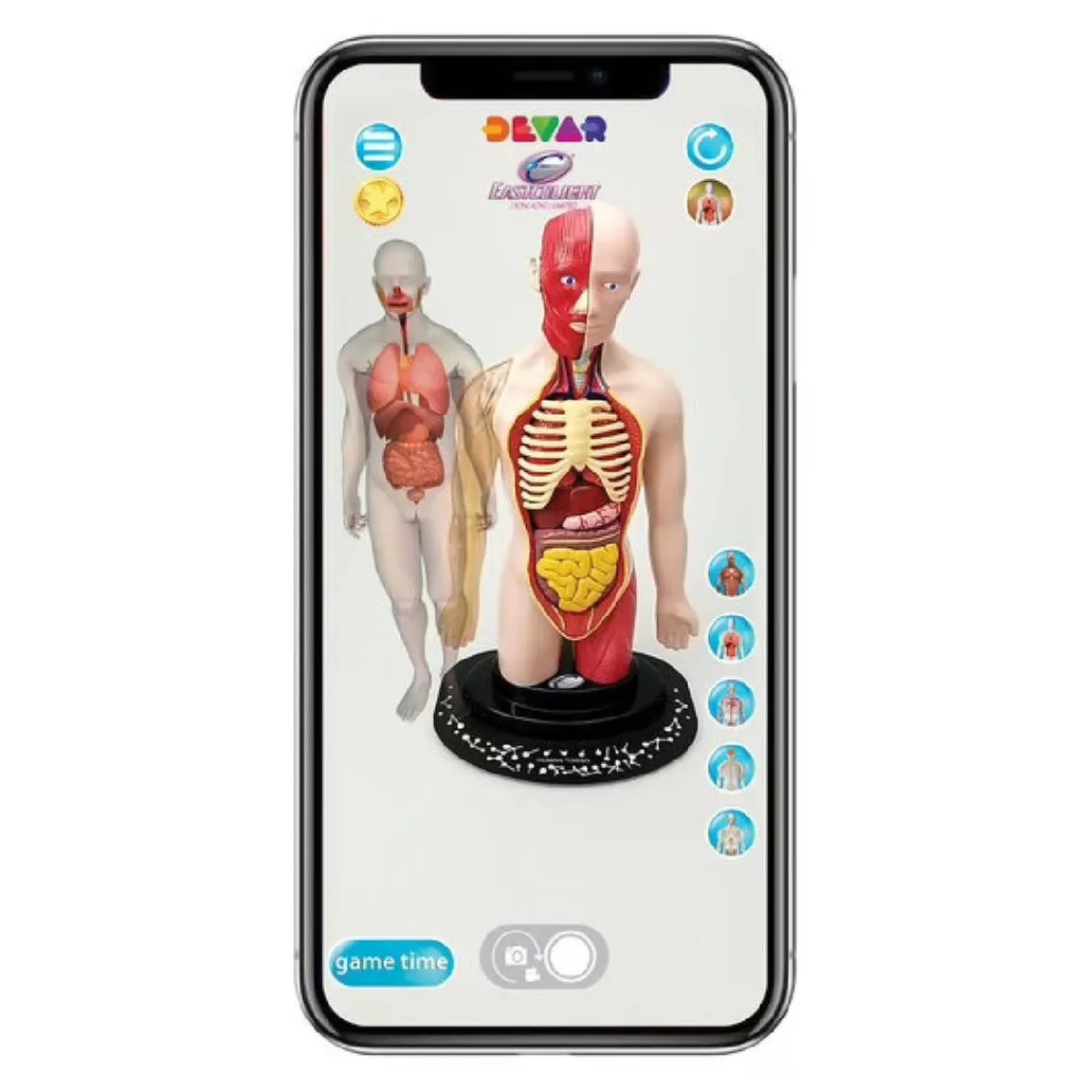 New - Cuerpo humano Steam