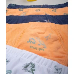 Pack de 7 Braguitas de Dinosaurios*Prenatal Discount