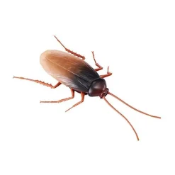 Robo Alive - Cucaracha robótica que brilla en la oscuridad*ARDITEX Sale