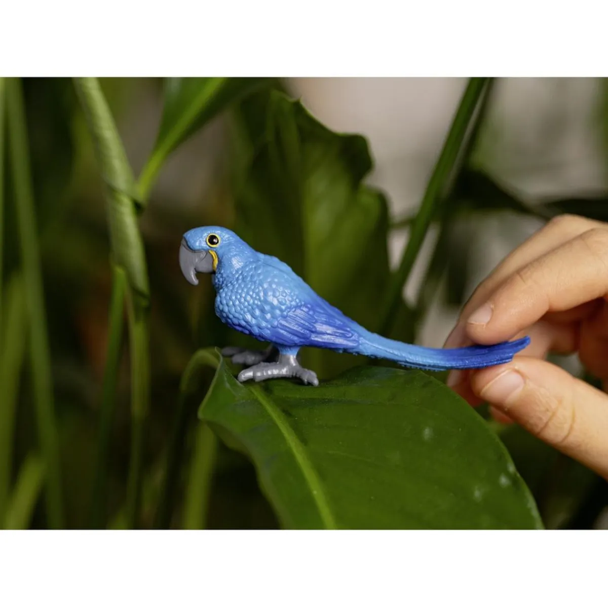 Best - Guacamayo Coleccionables Y Mini Mundos