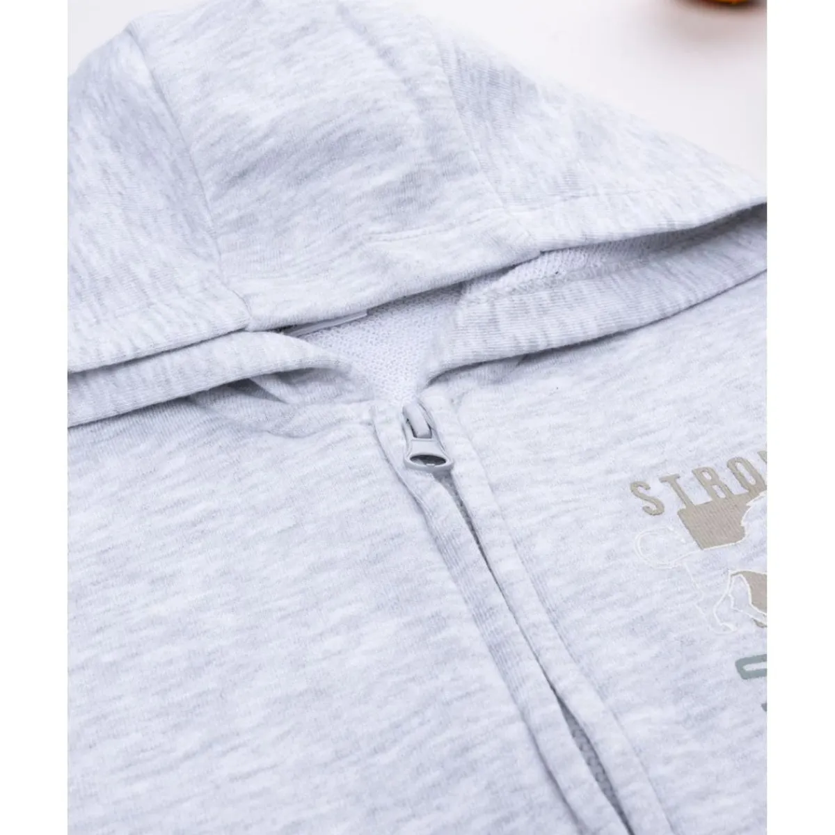 New Sudadera niño gris con dinosaurio Niño 2-10 Años·Jerséis Y Sudaderas|Niño·Niño 2-10 Años